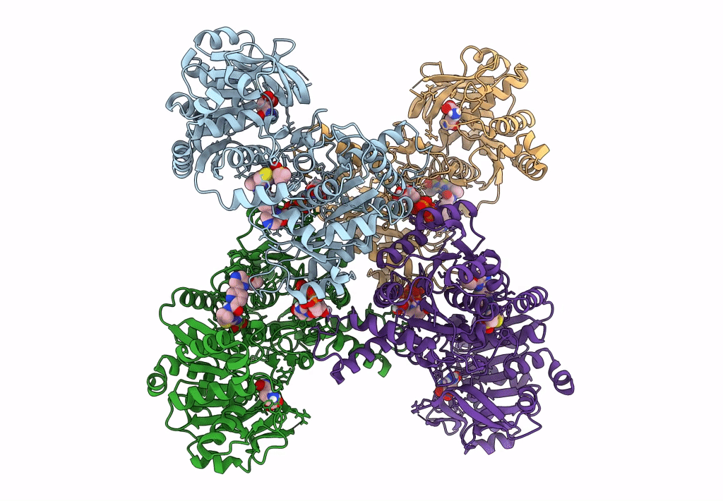 7MIP image