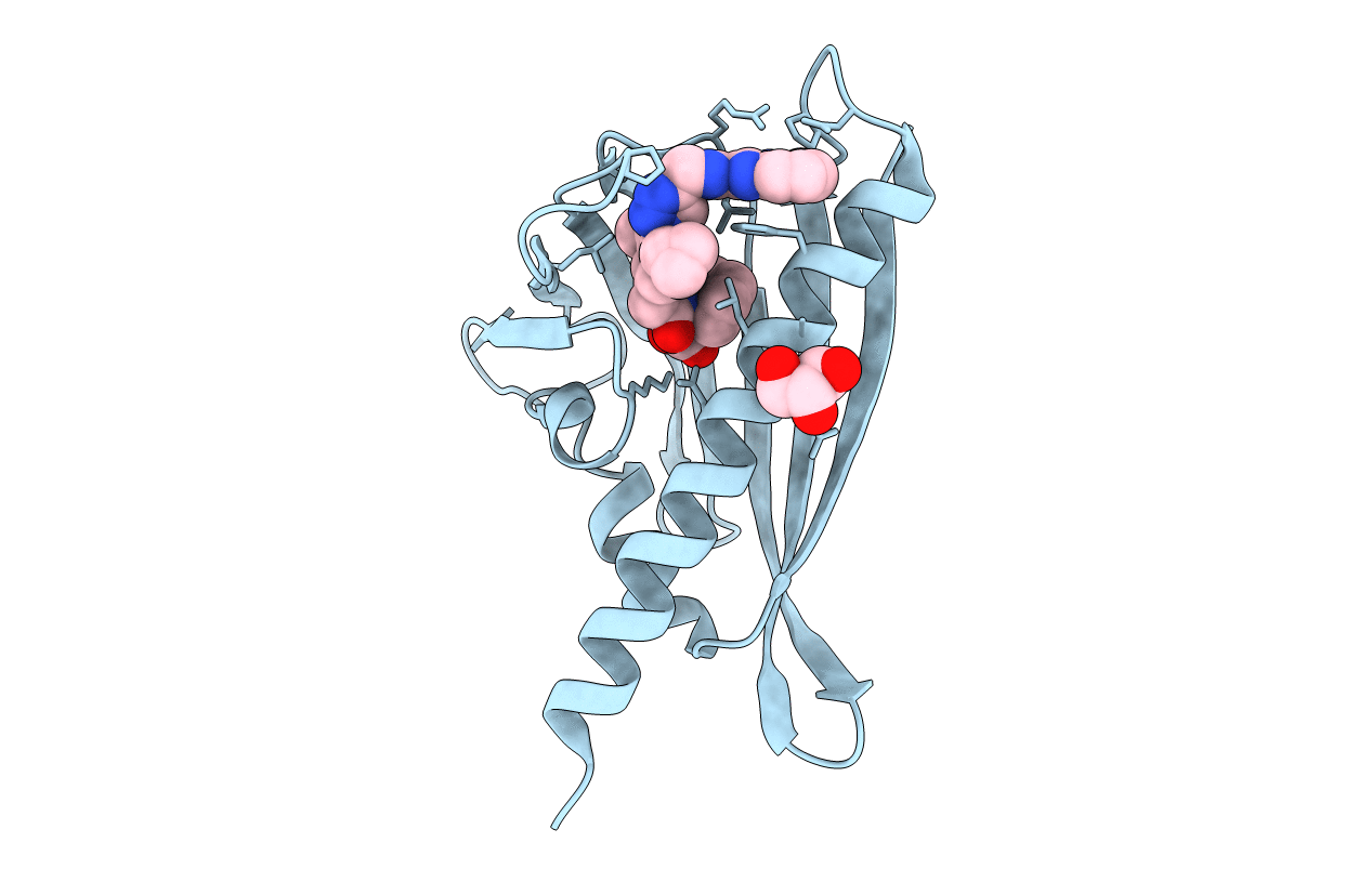 7MLC image