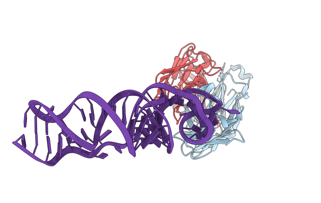 7MLX image