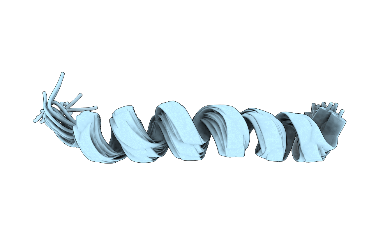 7MMM image