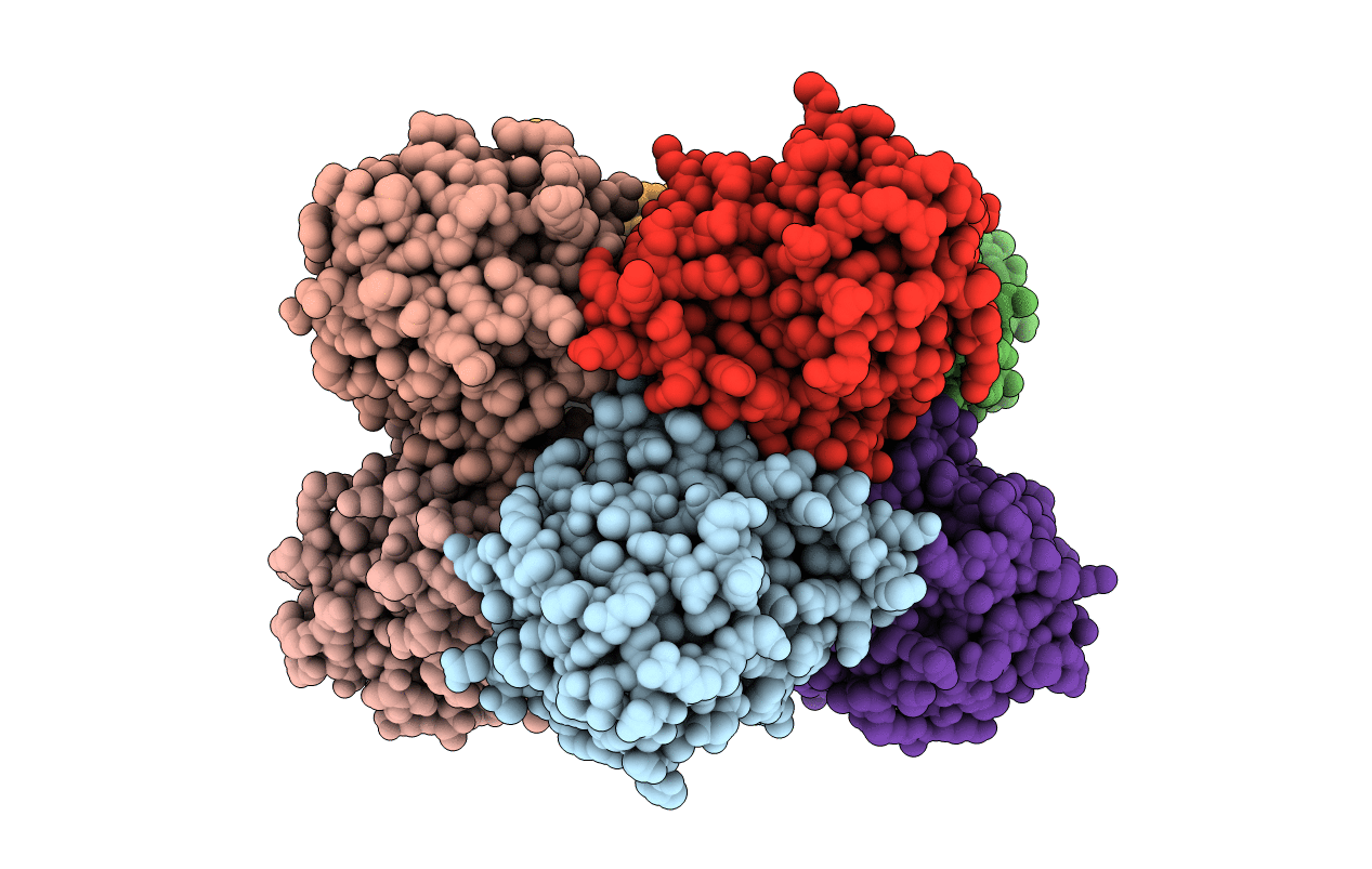 7MPO image