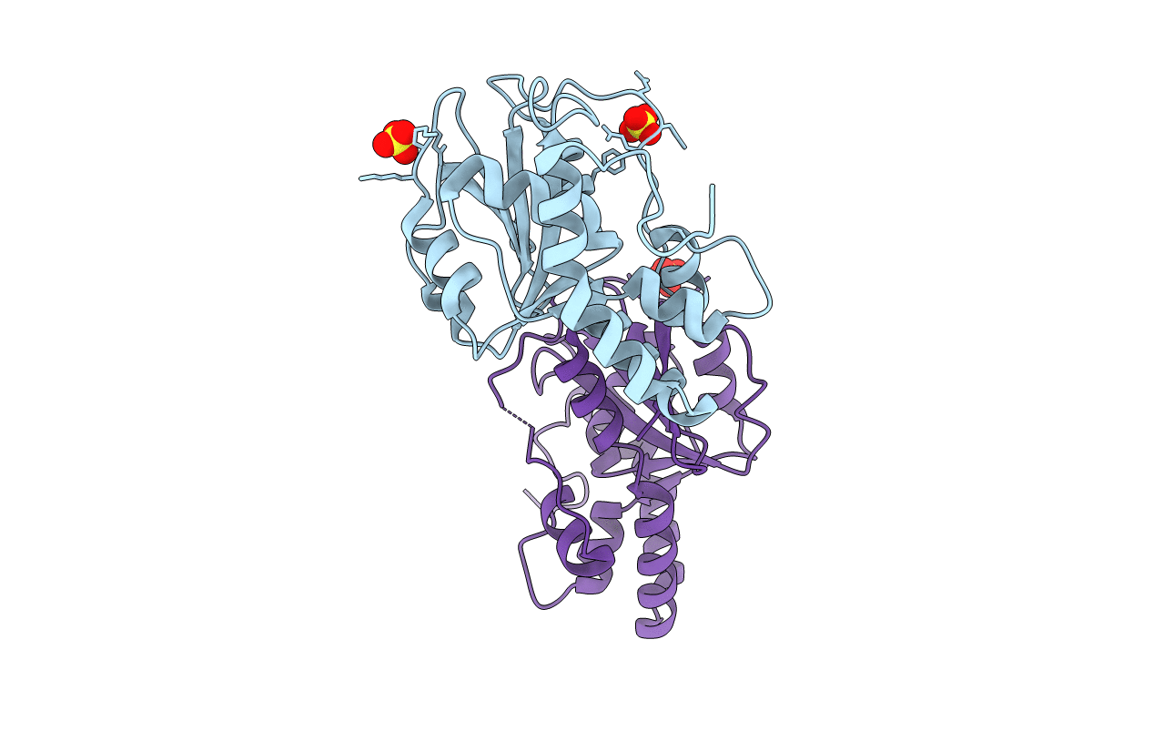 7MPR image