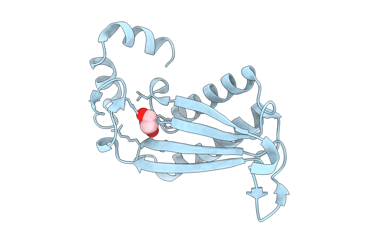 7MS3 image