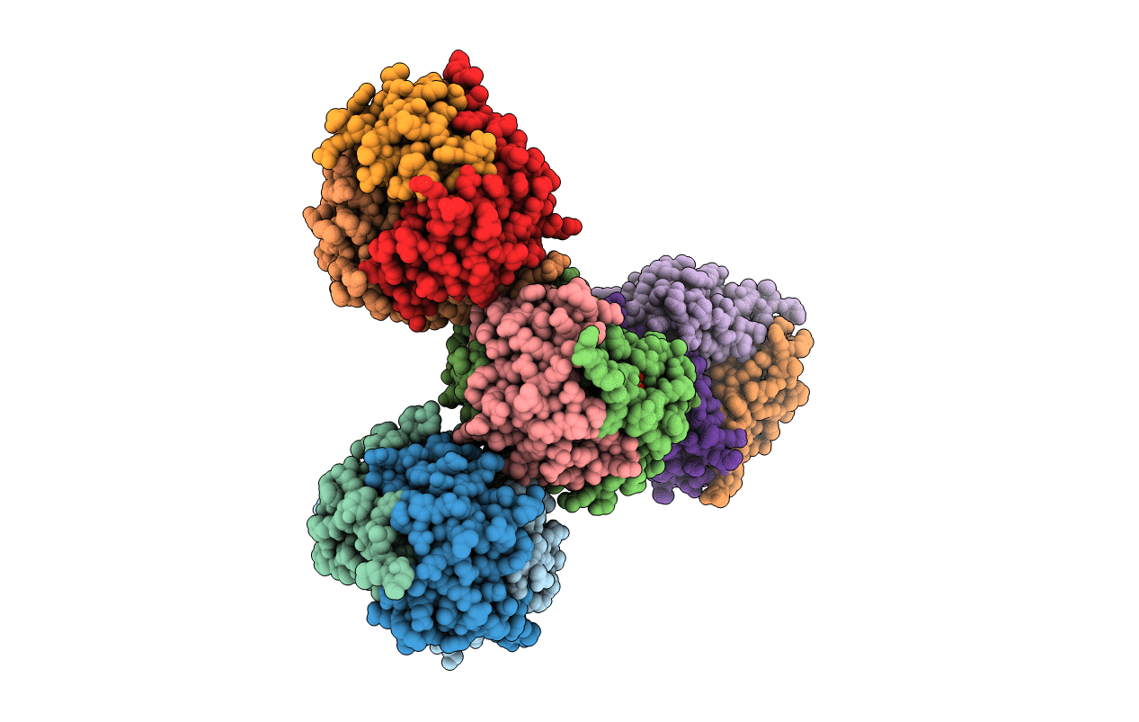 7MS9 image