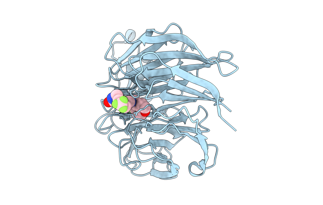 7MSB image
