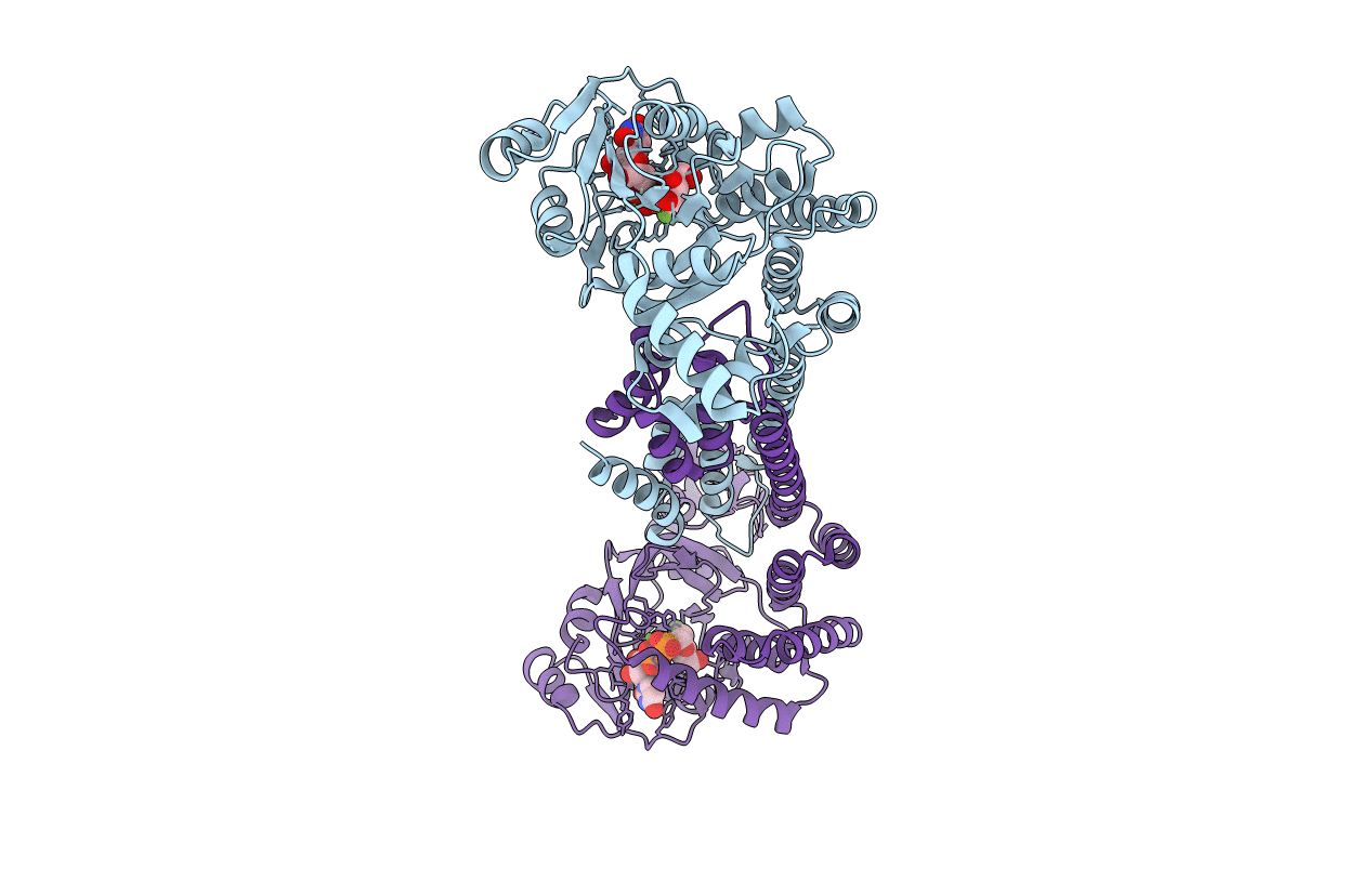 7MSK image