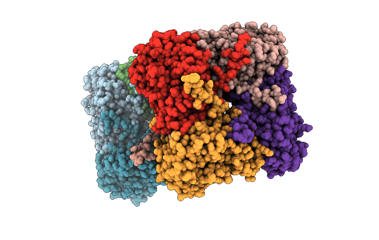 7MTX image