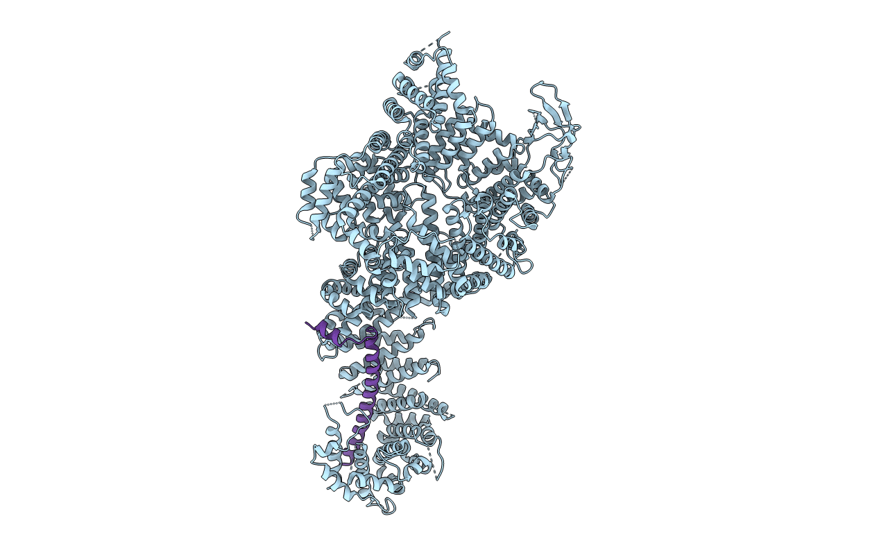 7MVX image