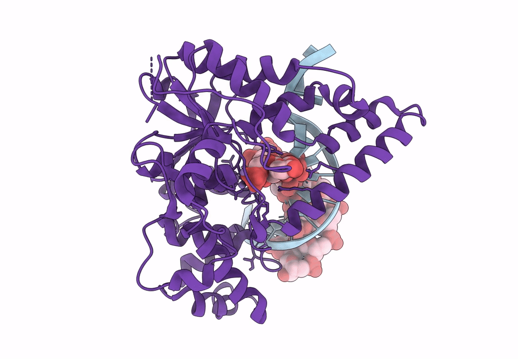 7MXT image