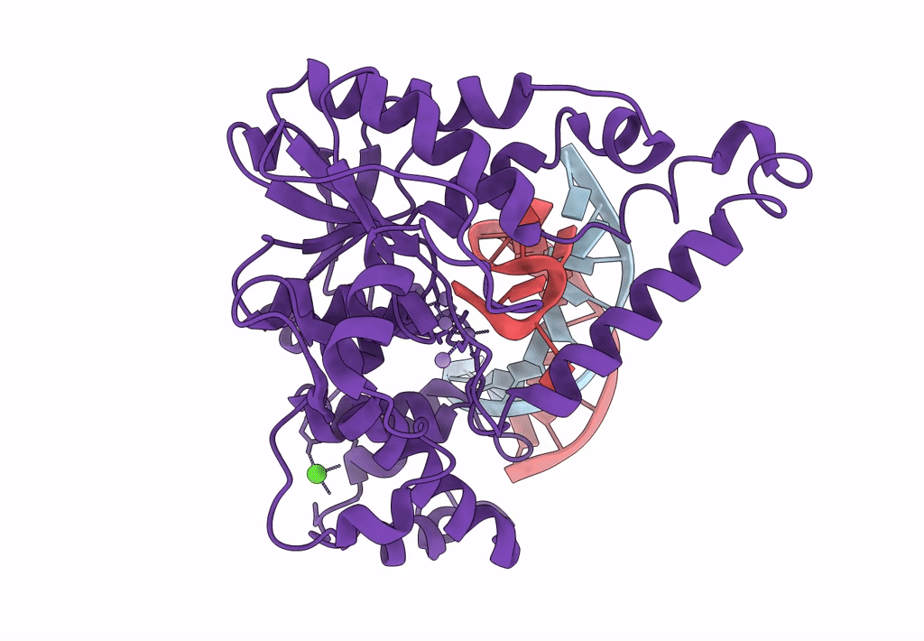 7MXX image