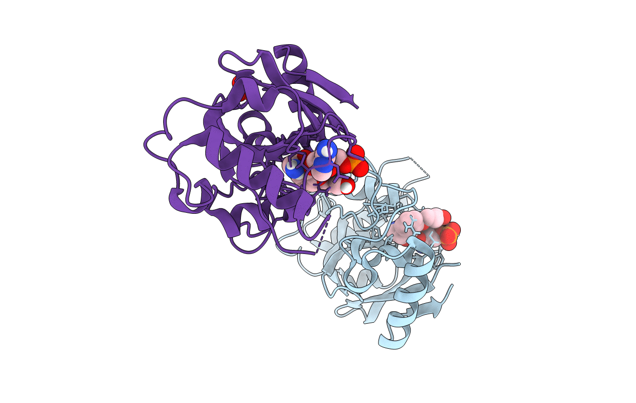 7N12 image