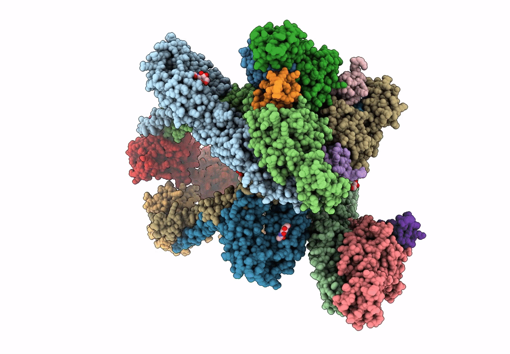 7N1H image