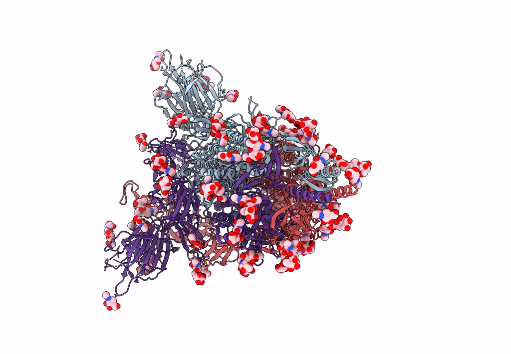 7N1V image