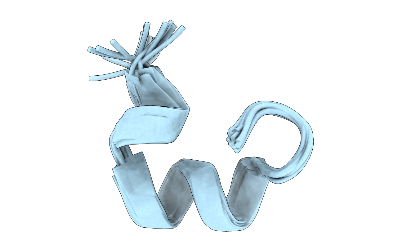 7N20 image