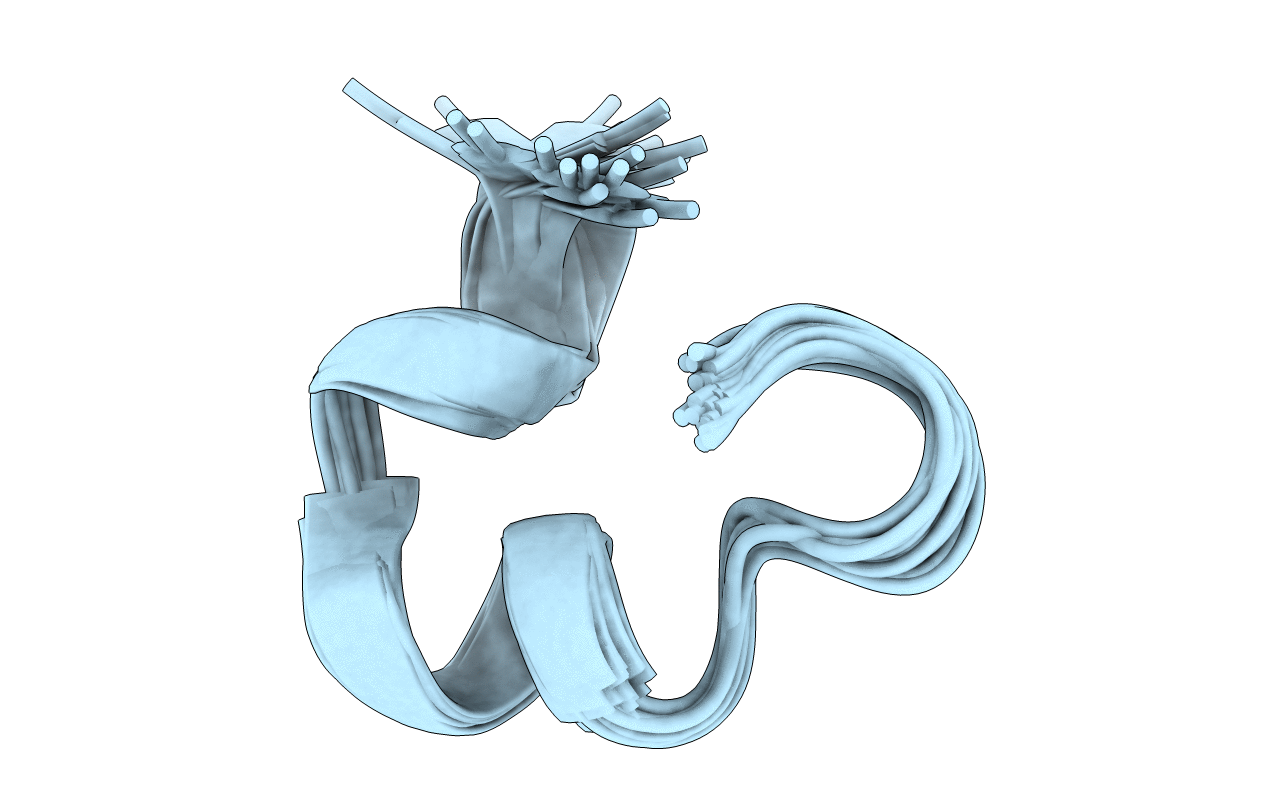 7N21 image