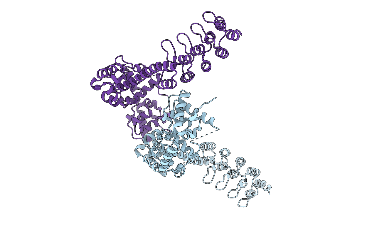 7N2B image