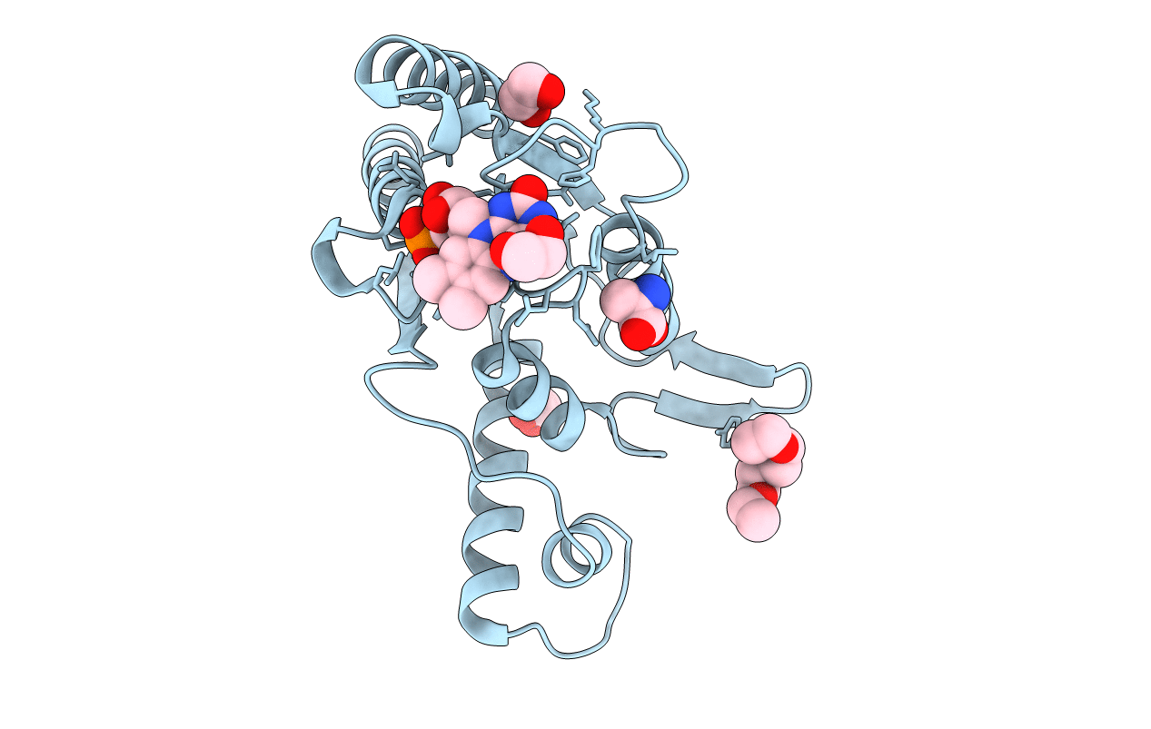 7N2X image