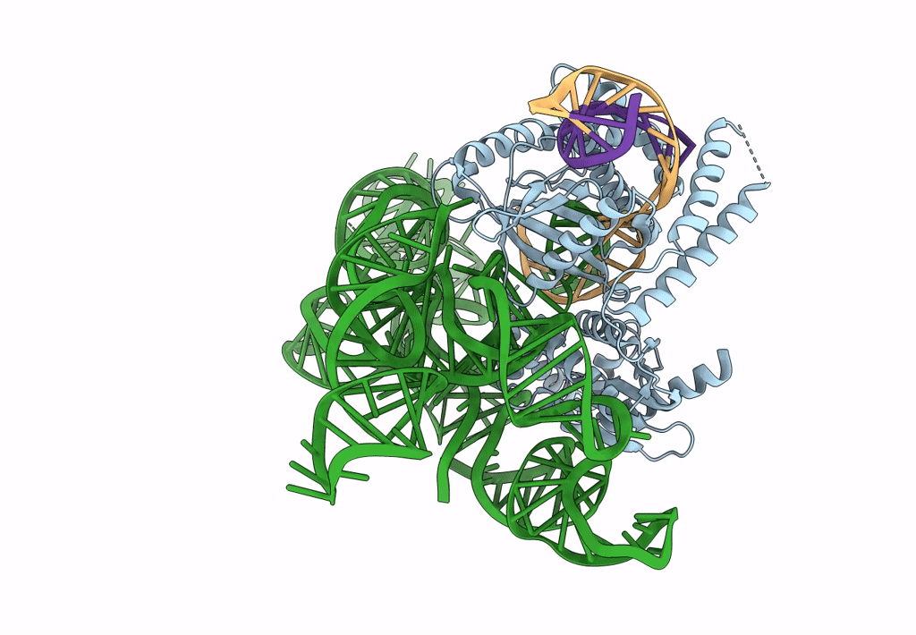 7N3P image