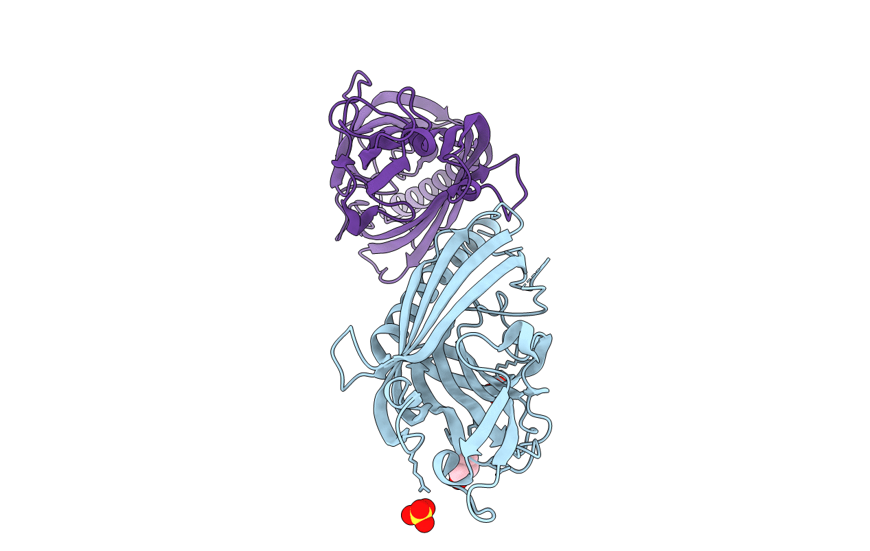 7N3V image