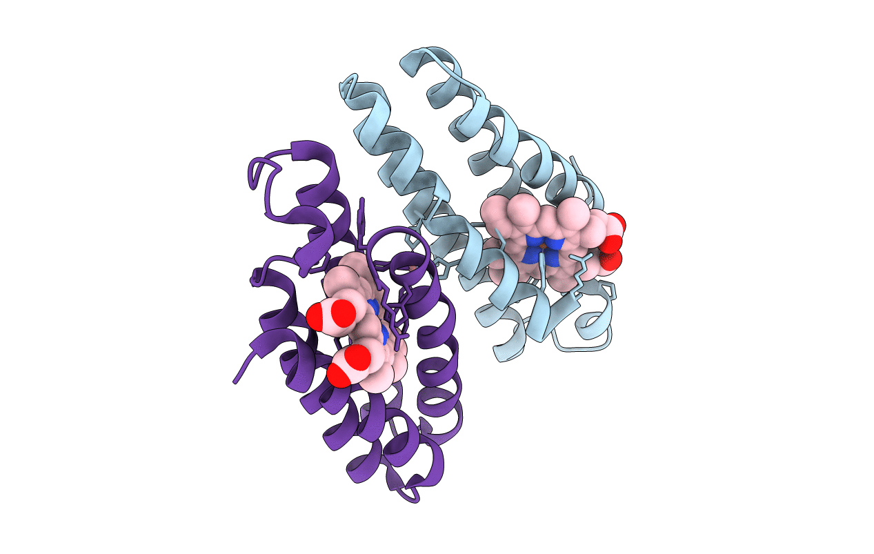 7N4G image
