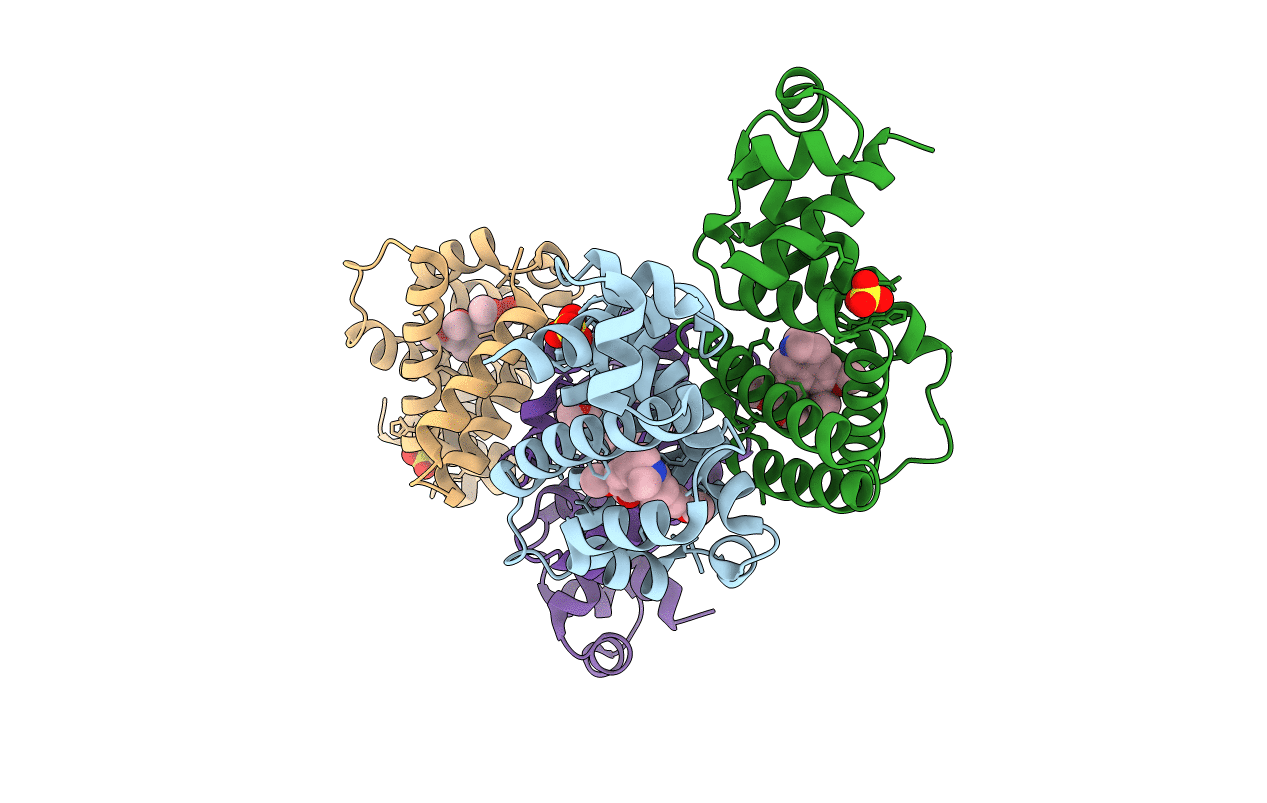 7N54 image