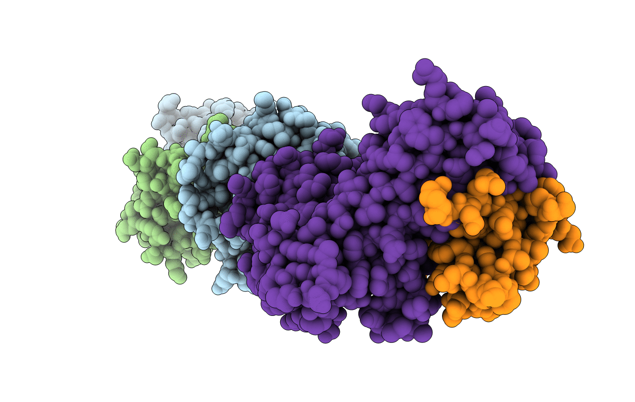 7N5C image