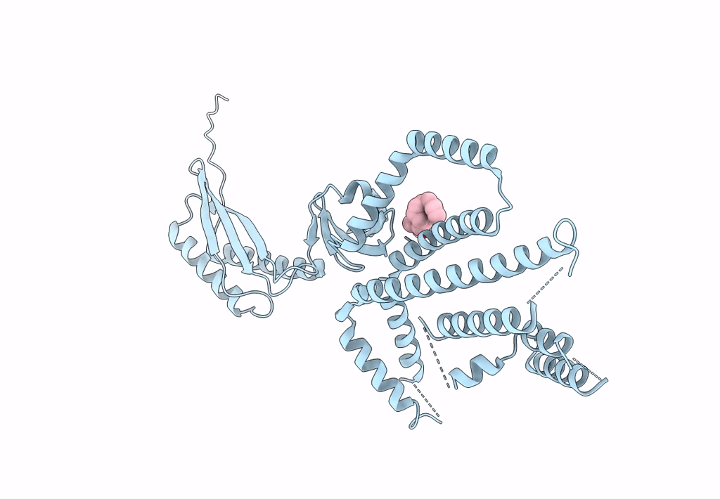 7N5G image