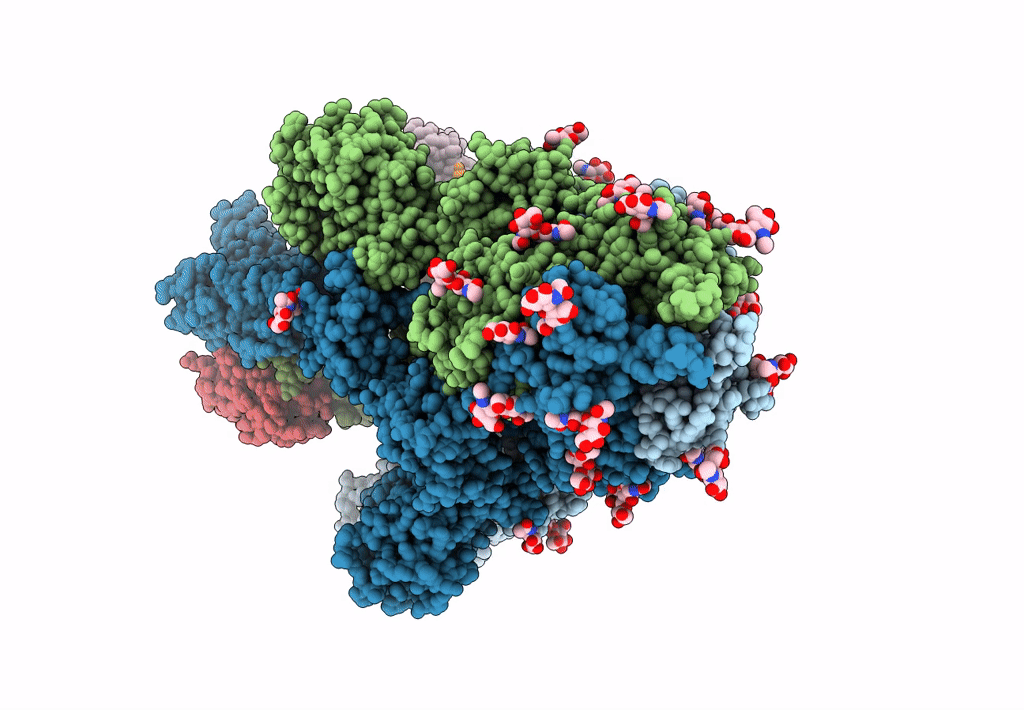 7N5H image