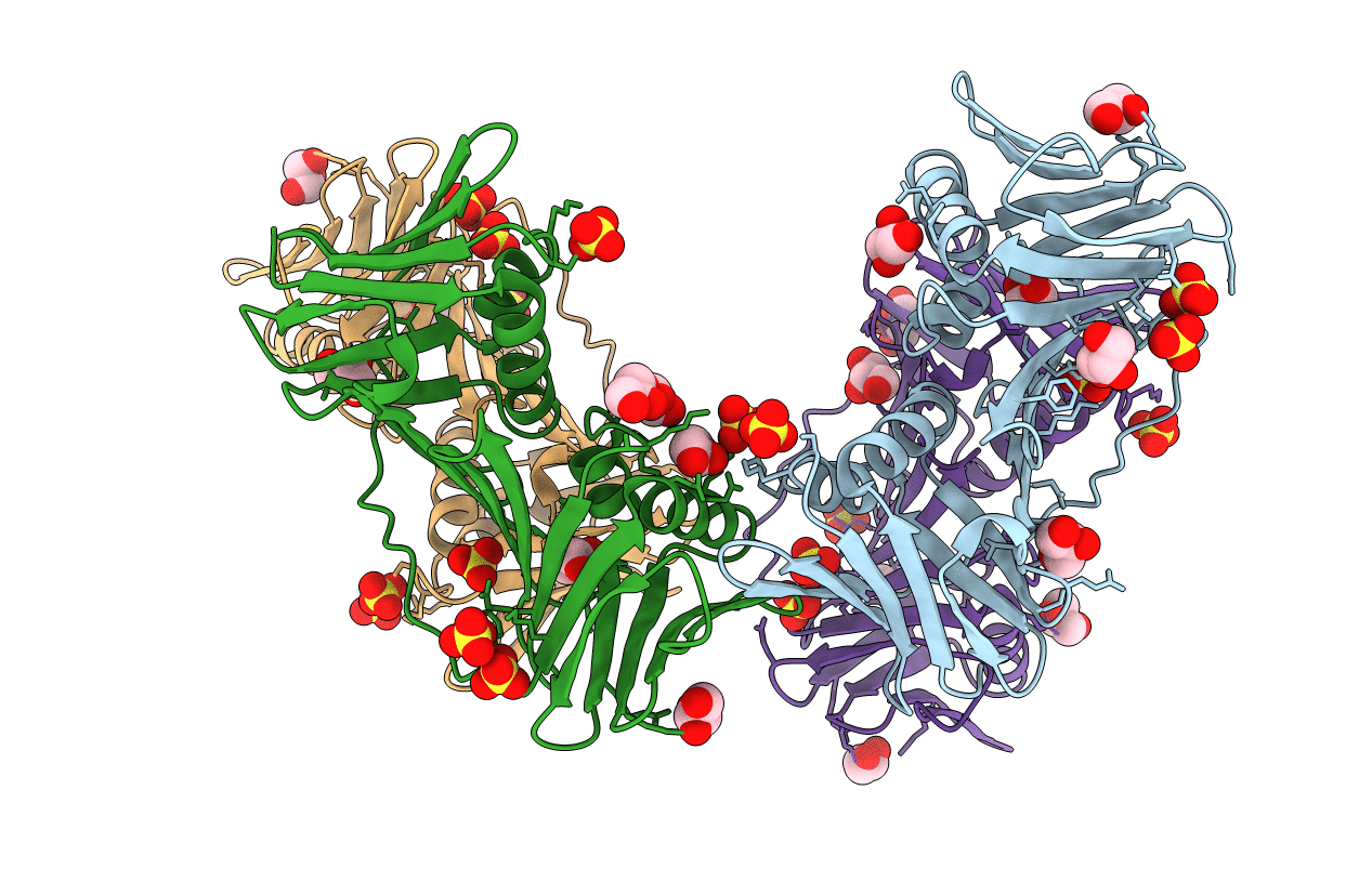 7N5I image