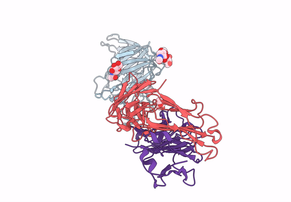 7N62 image