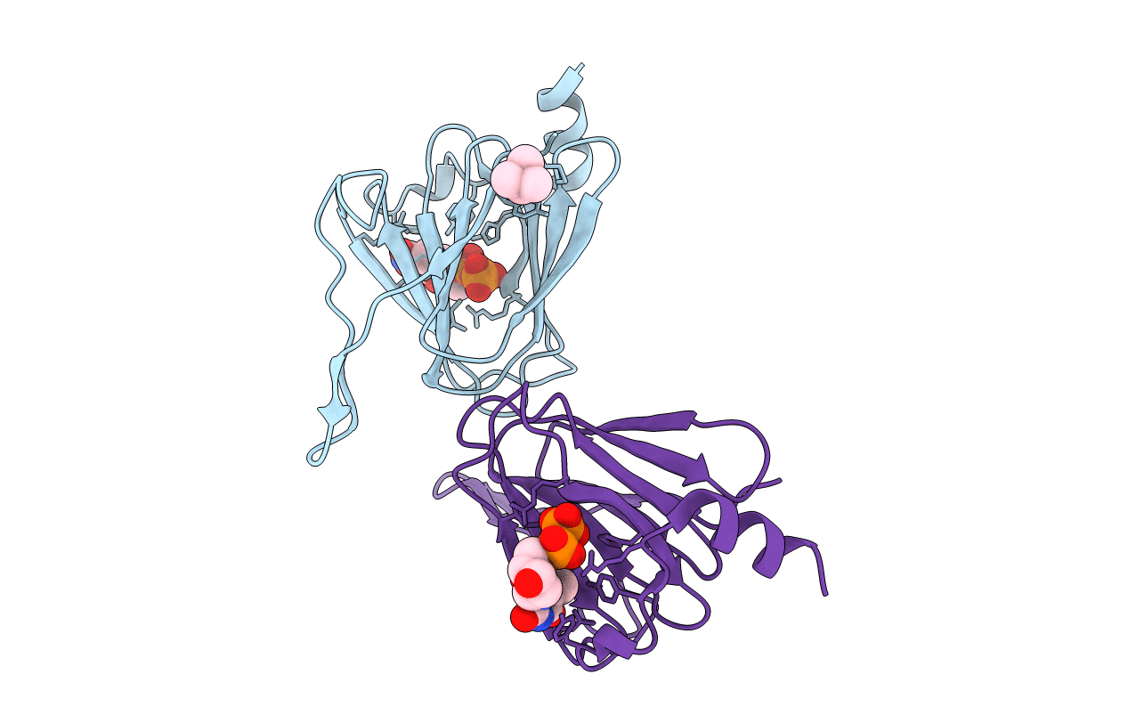 7N67 image