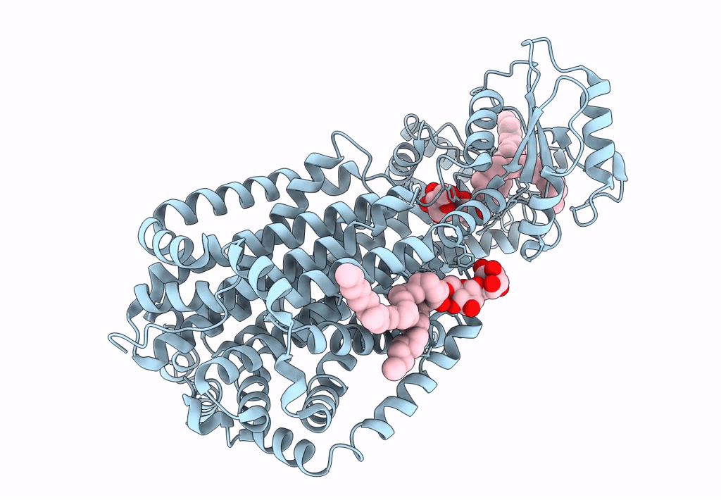 7N6B image