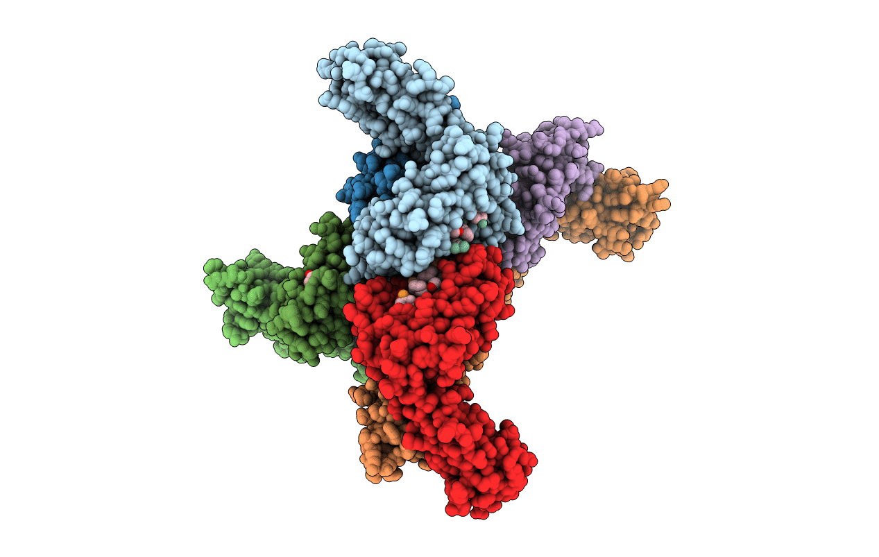 7N6D image