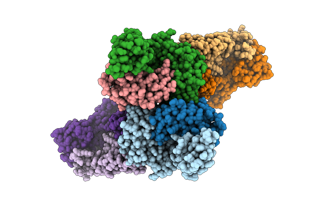 7N6E image