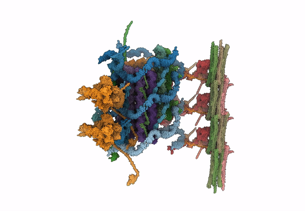 7N6G image