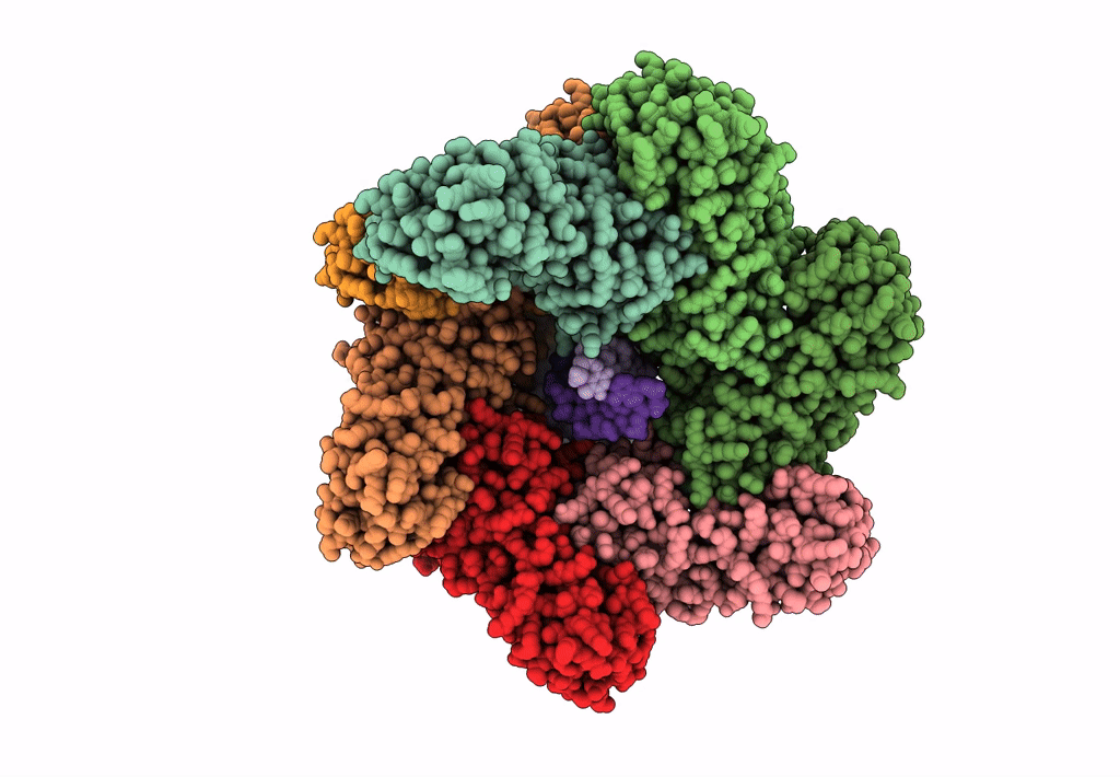 7N6I image