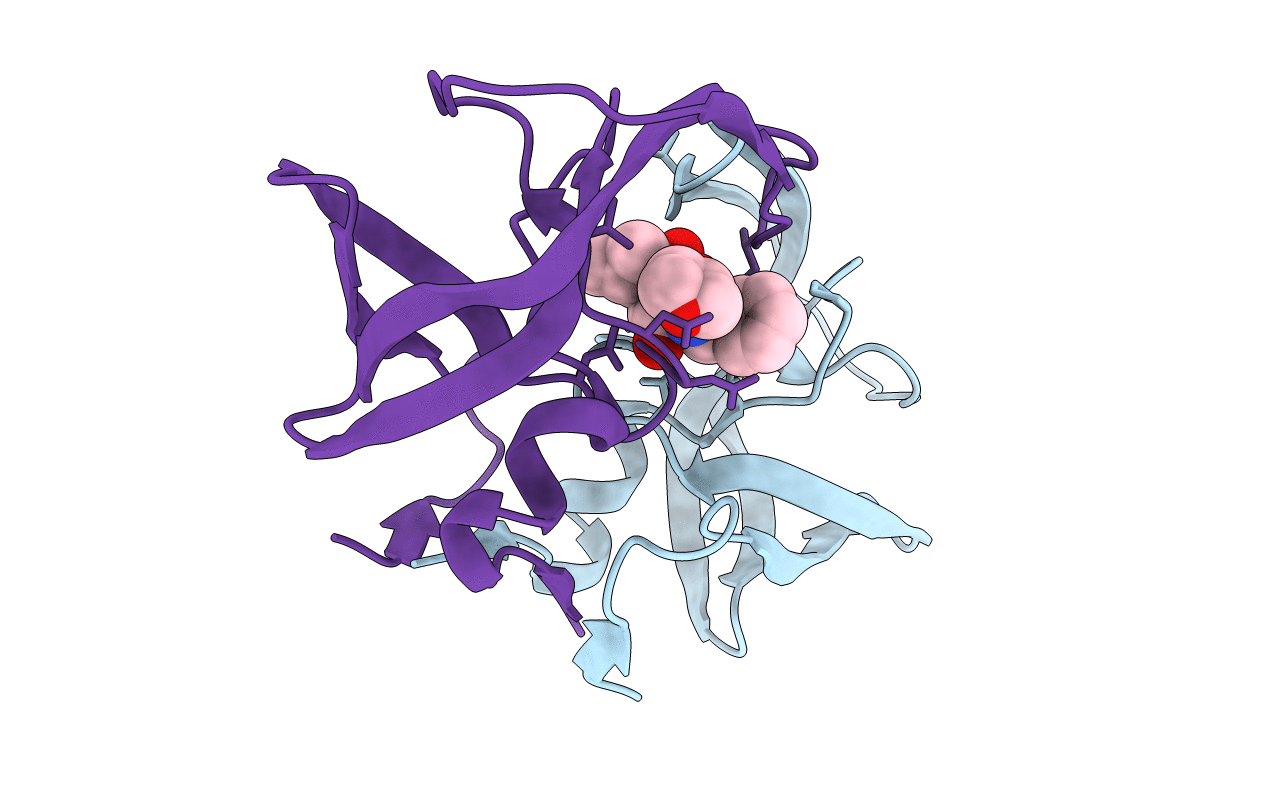 7N6X image