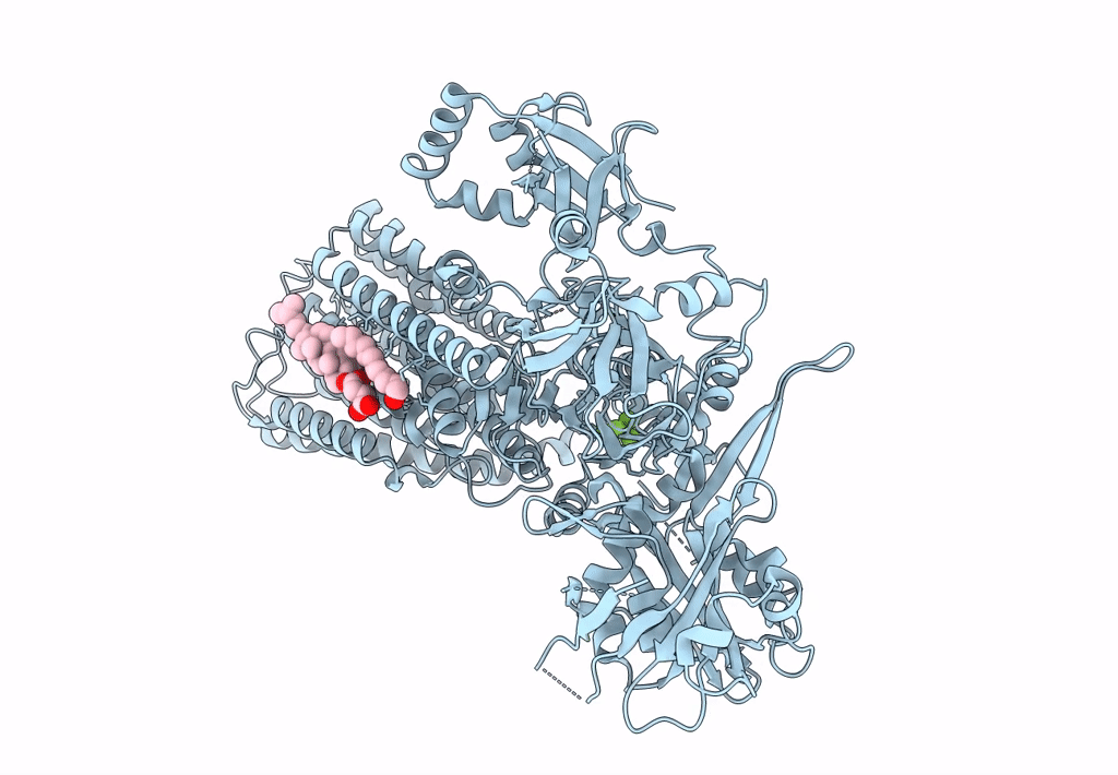 7N70 image