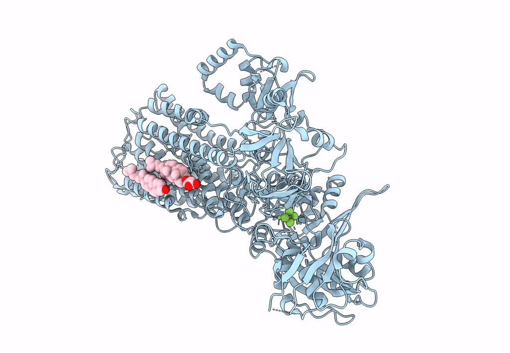 7N77 image