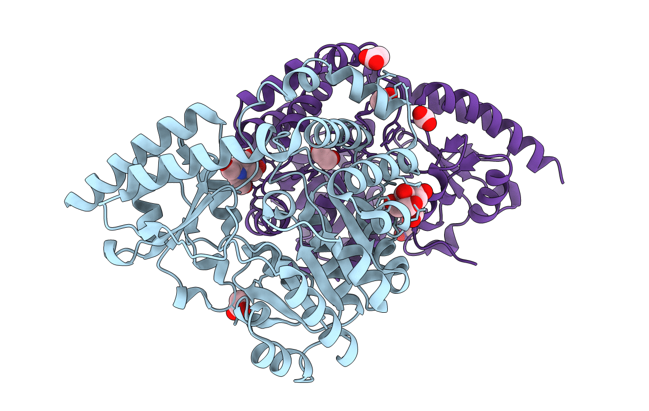 7N79 image