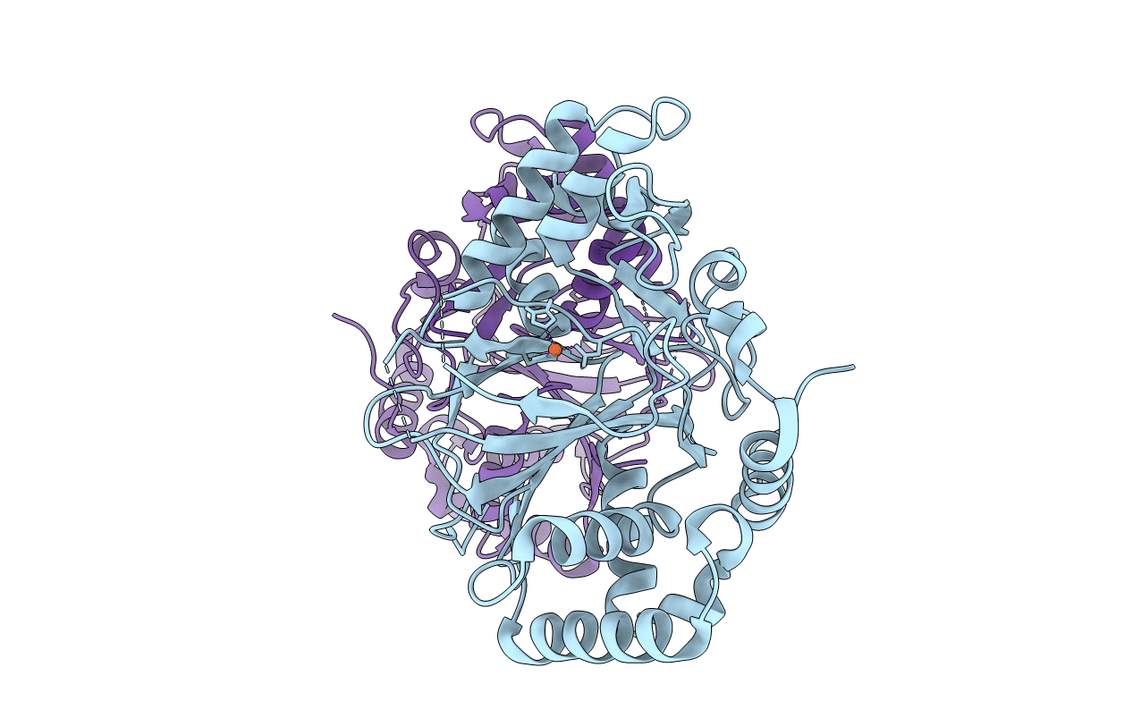 7N7V image