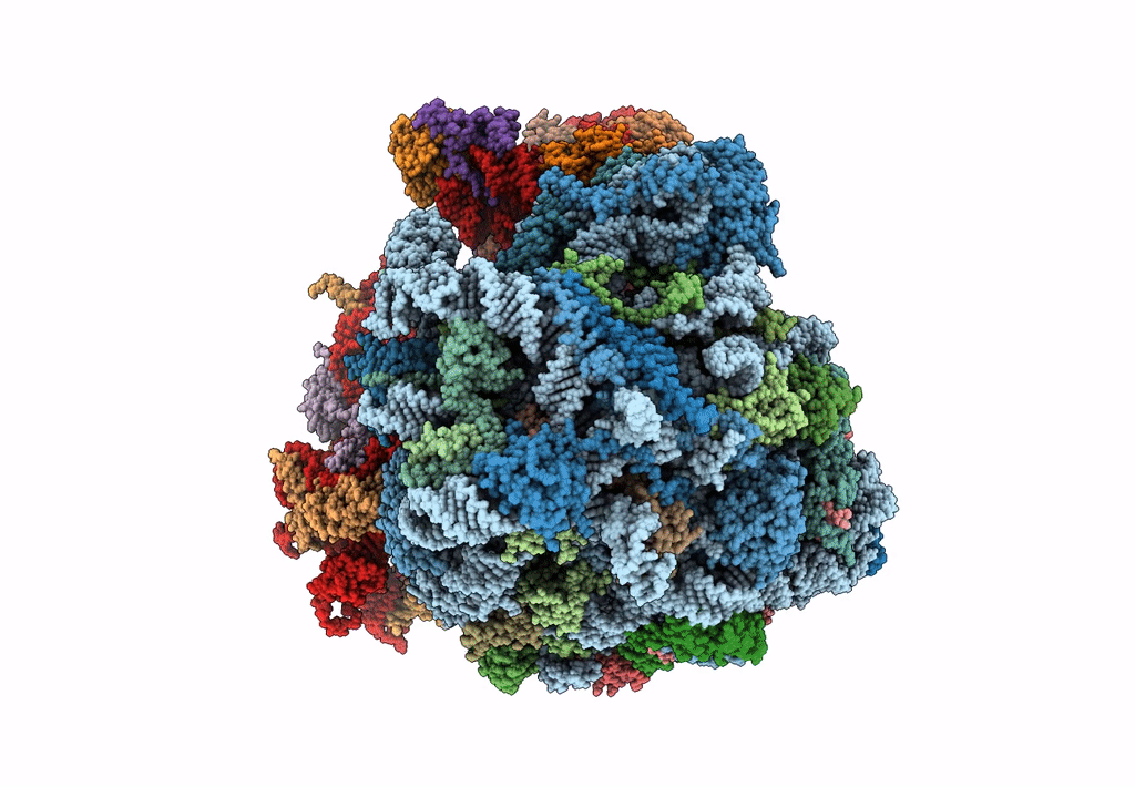 7N8B image