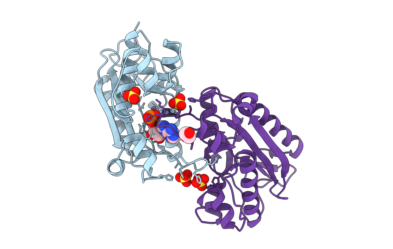 7N8W image