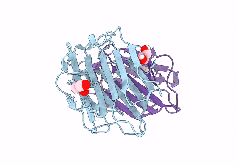 7N96 image