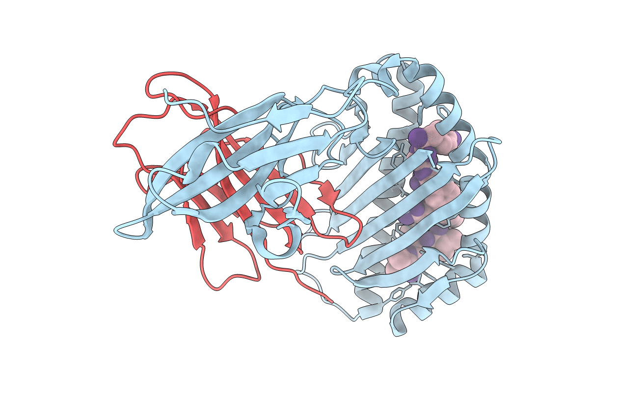 7N9J image