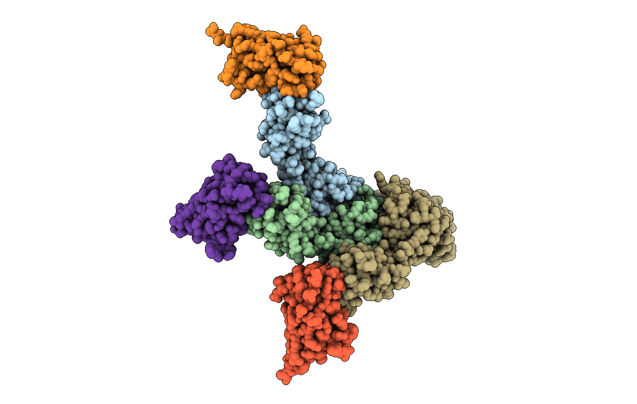 7N9U image