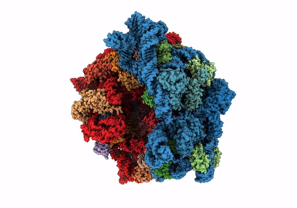 7NBU image