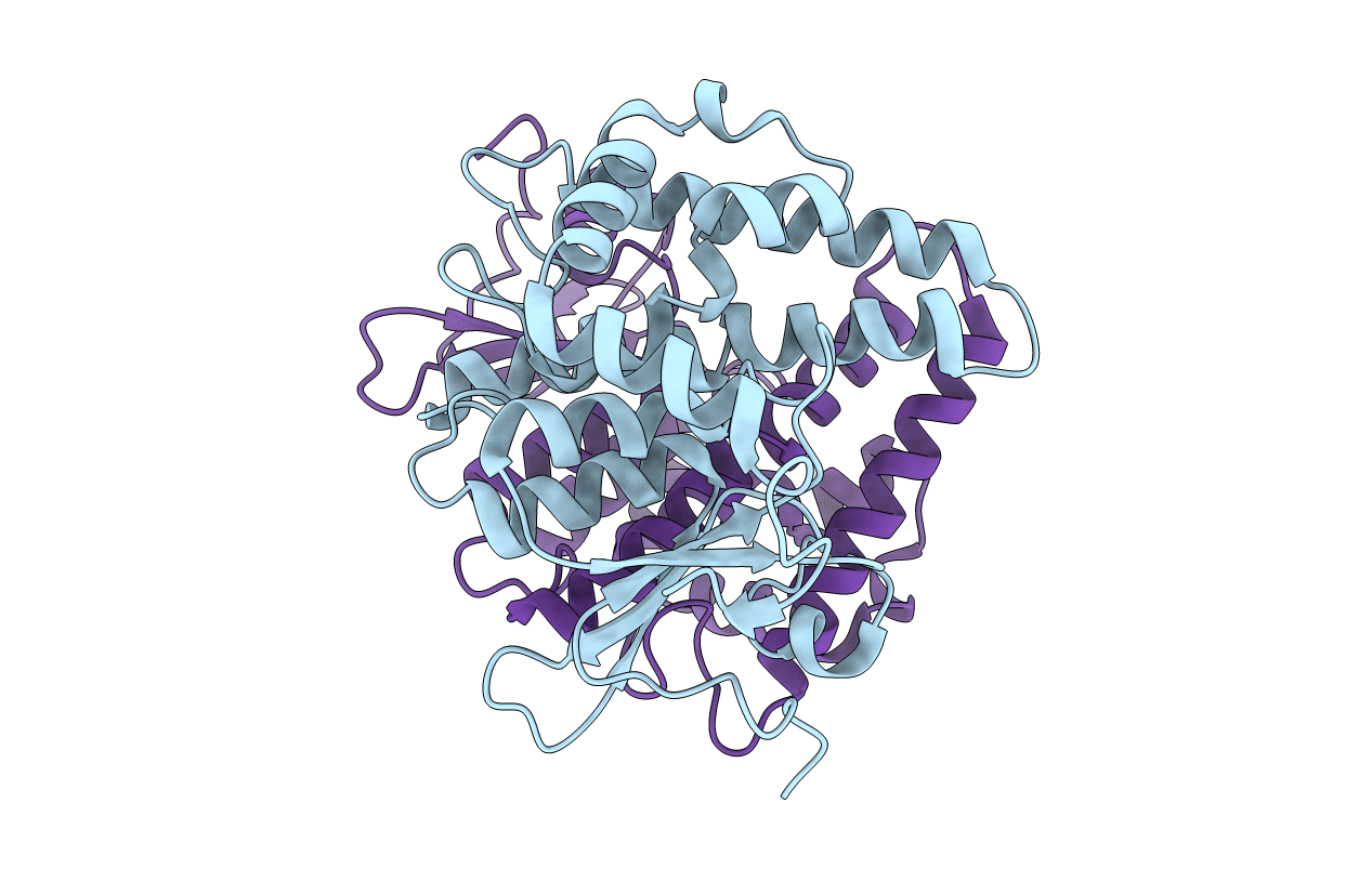 7NCB image