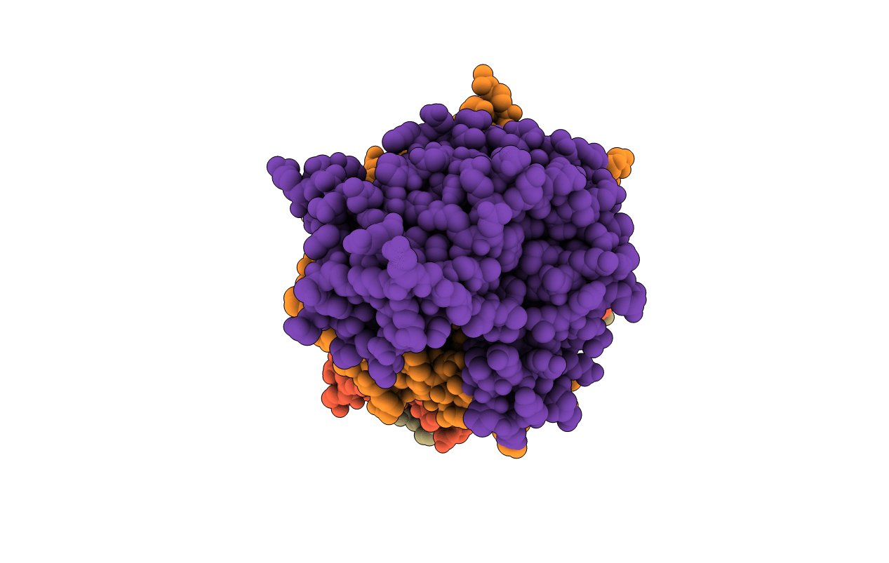 7NCD image