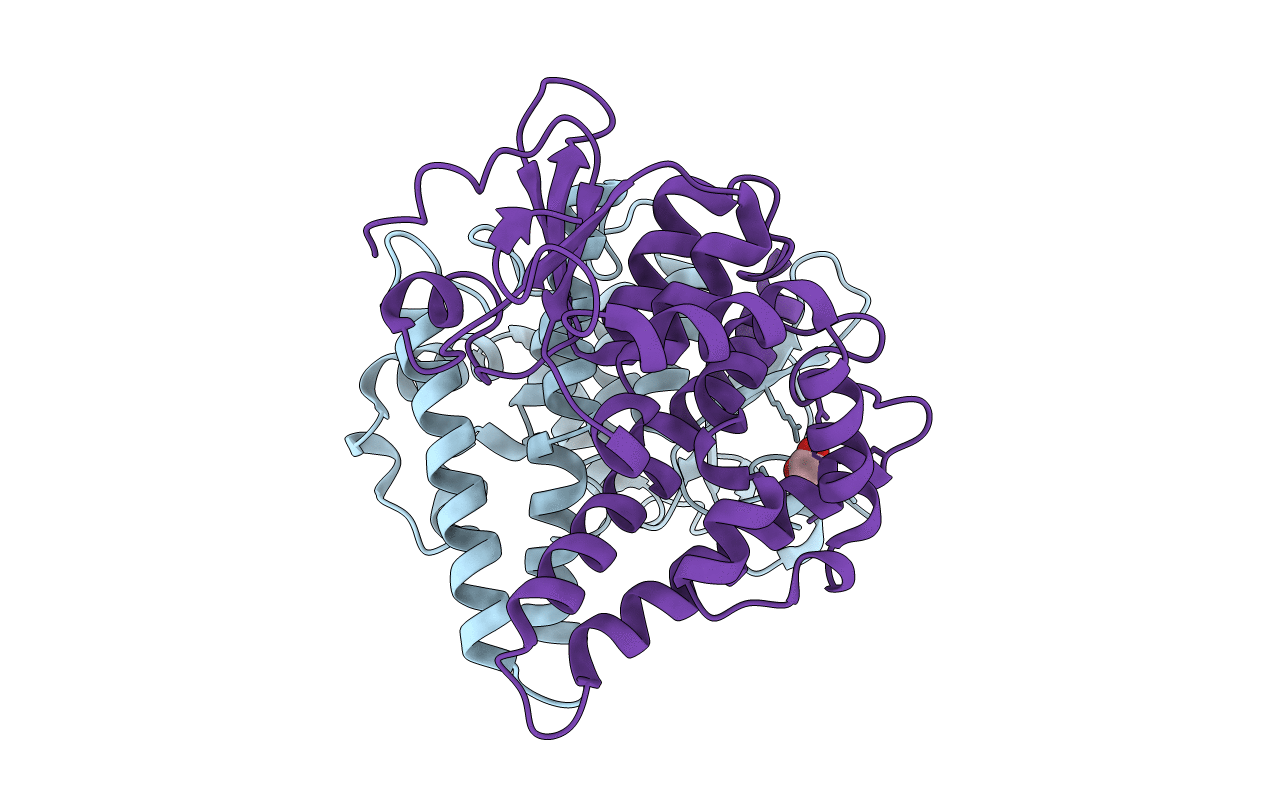 7NCM image